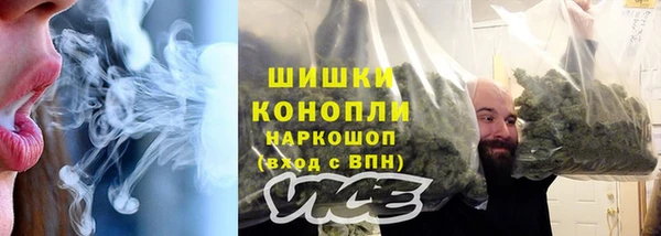 прущие грибы Навашино