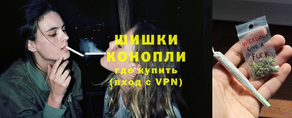 прущие грибы Навашино