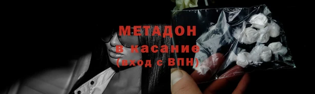 прущие грибы Навашино