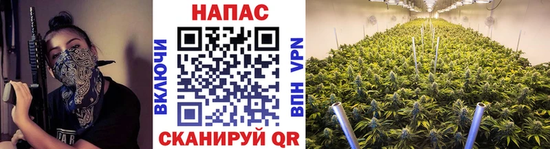 Купить закладки  Мураши  Каннабис LSD WEED 